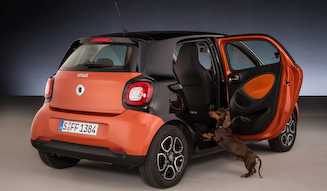 smart for dogs｜スマート フォー ドッグ