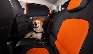 smart for dogs｜スマート フォー ドッグ