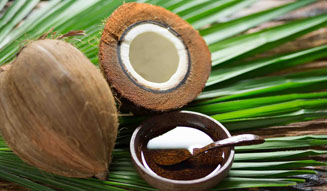 COCO ORGANICS｜新ブランド