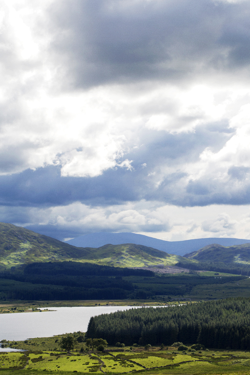 Burberry|バーバリー