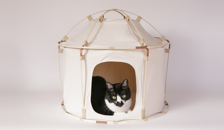 41世紀｜ヨンジュウイッセイキ catstudyhouse theGIANT