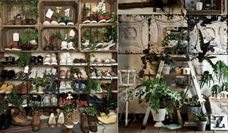 川本諭|ラフォーレ原宿