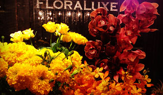 FLORALUXE|ハロウィン