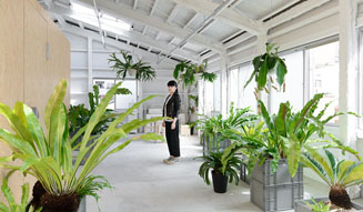 高橋理子|エキシビション