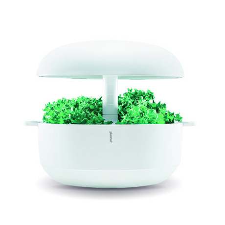 Plantui Smart Garden