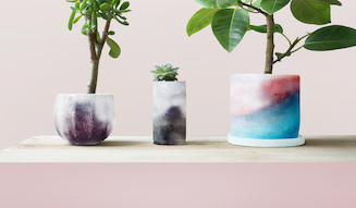 LEXUS｜レクサス