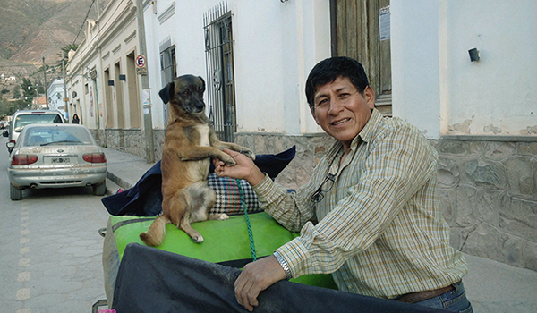 安彦幸枝|どこへ行っても犬と猫