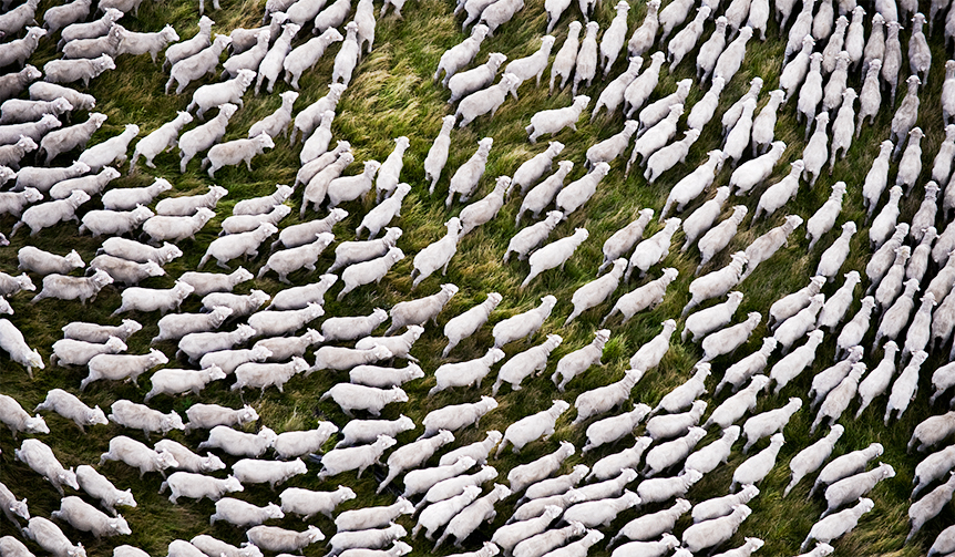 0-E-Australia_ph.-by-Mattias-Klum