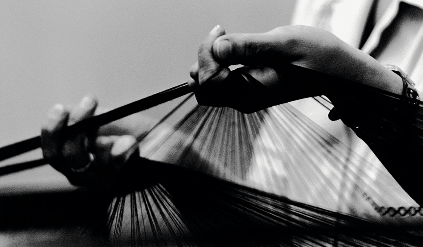 0-D-Australia_Merino