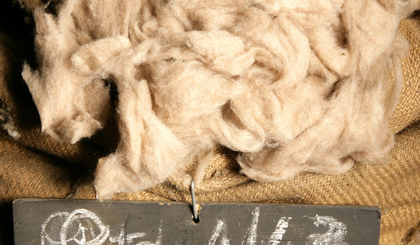 0-E-Australia_ph.-by-Mattias-Klum