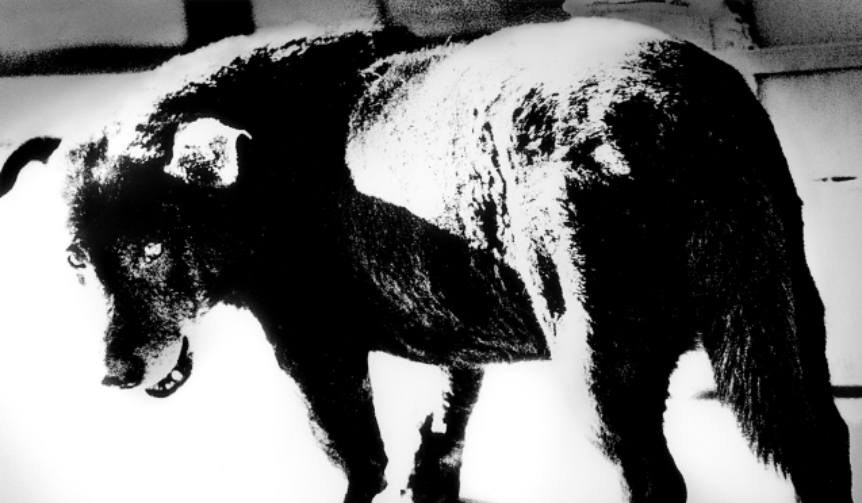 Ground Seiko Art Peace