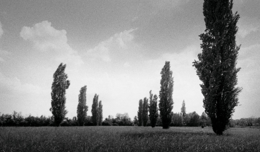 bottega-veneta-parco-palladiano_004