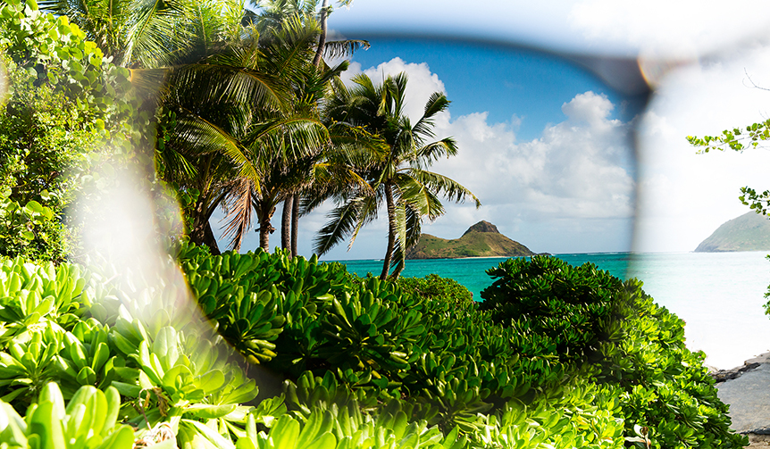 Tommy Bahama(トミーバハマ)