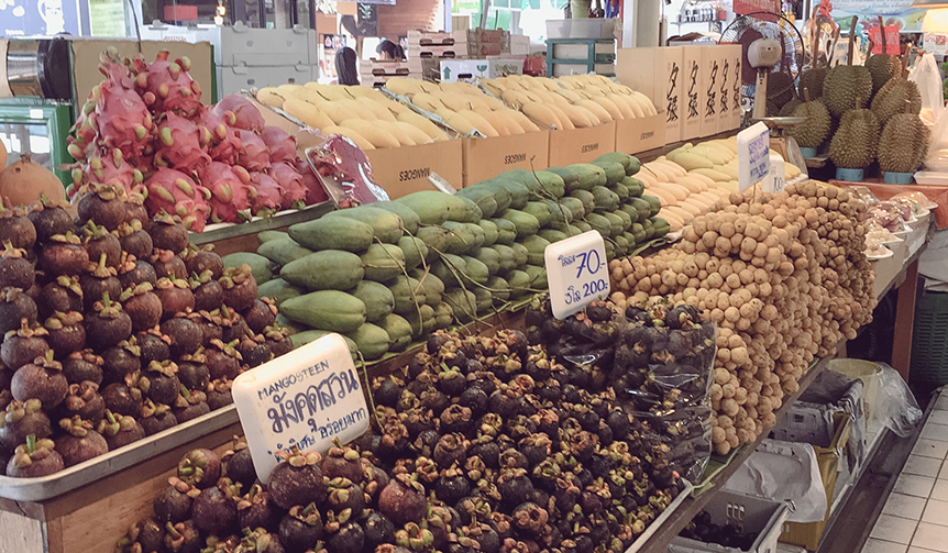 011f108c01ff527a661fde5bfb0e468476e415ea48