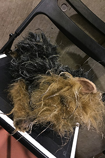 3か月間、4人で頑張った三谷さんの新作舞台「不信」