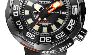 s_012_citizen_tup