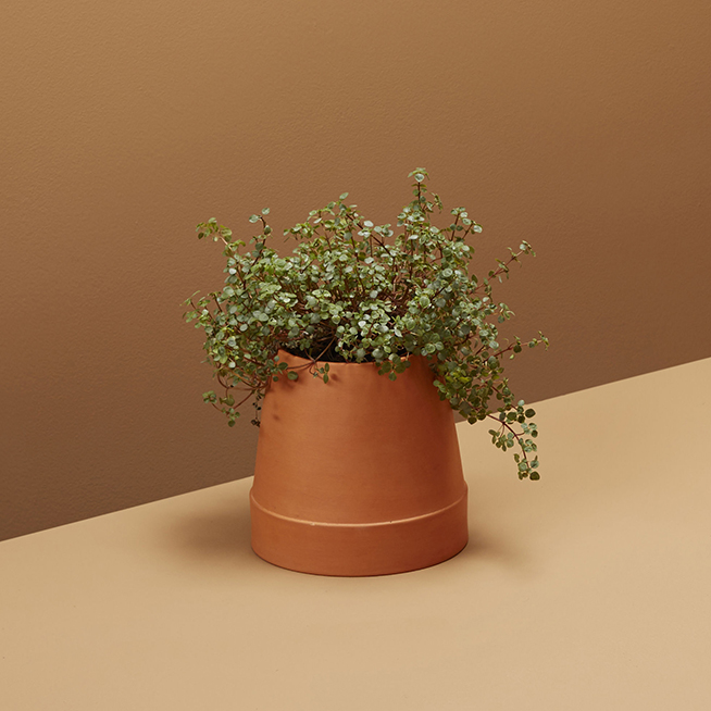boskke_001