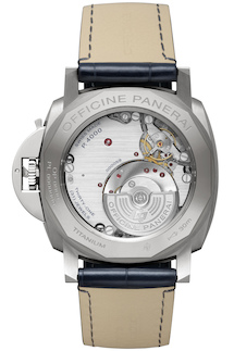 s_Pam729_Cat_Fond_1483756