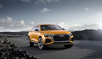 s_009_audi_tms