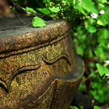 Amanyangyun-detail_High-Res_8105