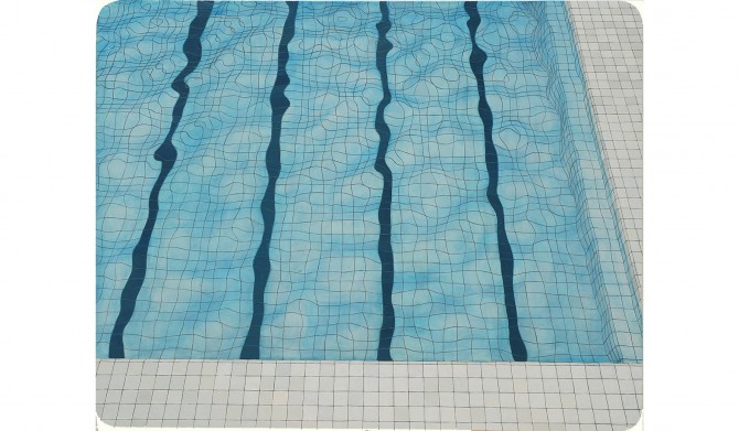 [図版11]Aヴァレジョン_スイミング