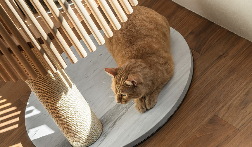 cat-tree_012