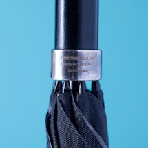 s_s_002_best7_16_foxumbrellas