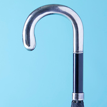 s_s_004_best7_16_foxumbrellas