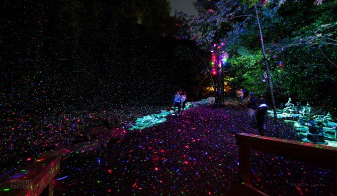 G3_Moment_Factory_Foresta_Lumina-02