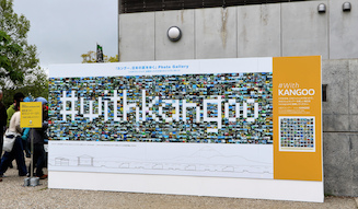 s_019_renault_kangoo_colour