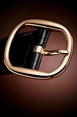 PP_5738R_001_DET-16951