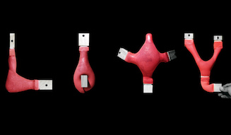 s_013_lexus_designAward2018