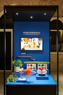 s_s_4_LDA_PROTOTYPE_Testing Hypotheticals