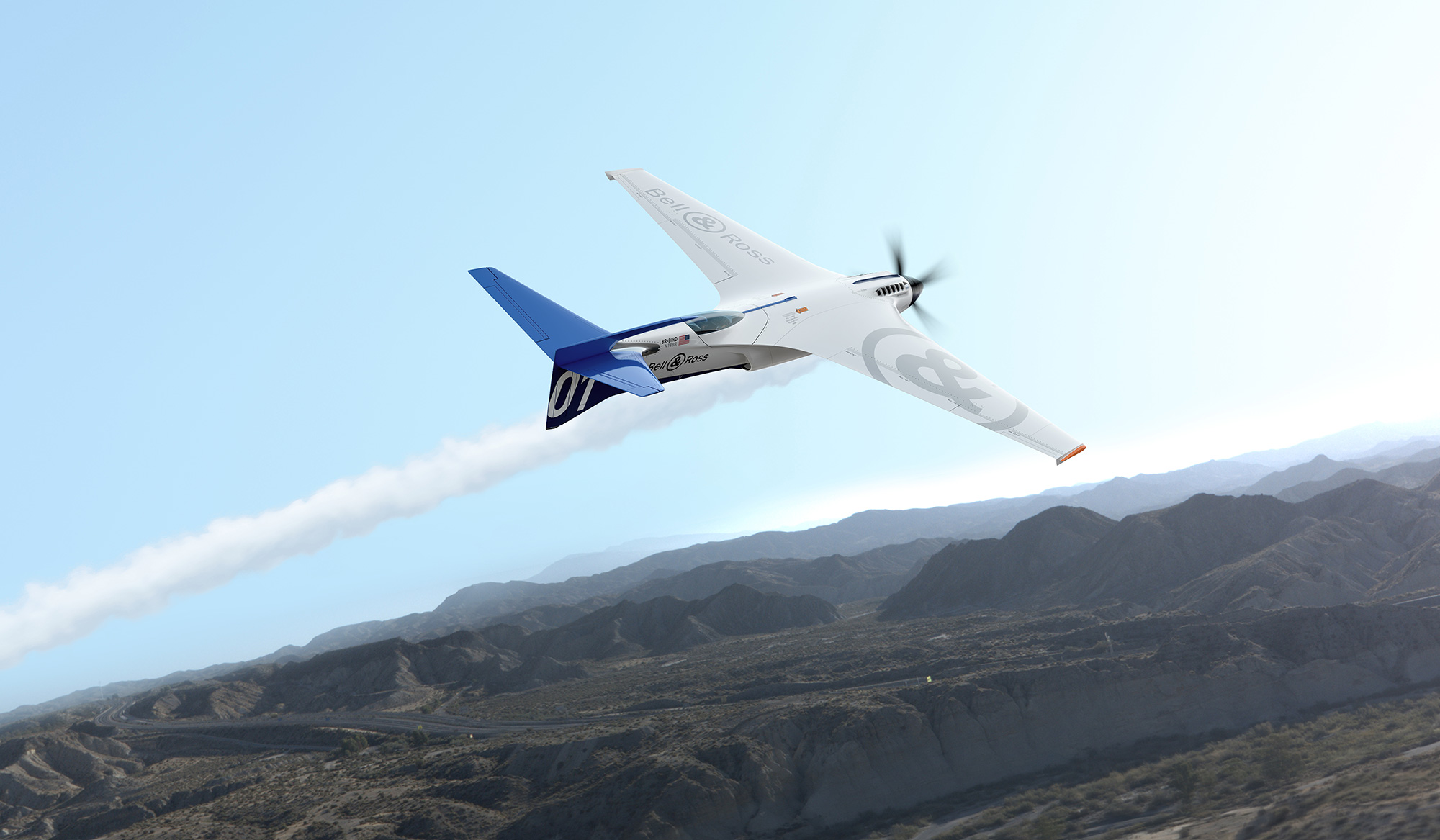 TF-DYN_BR-Bird_Haute-Res