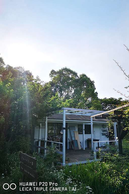 t_IMG_20180603_165040