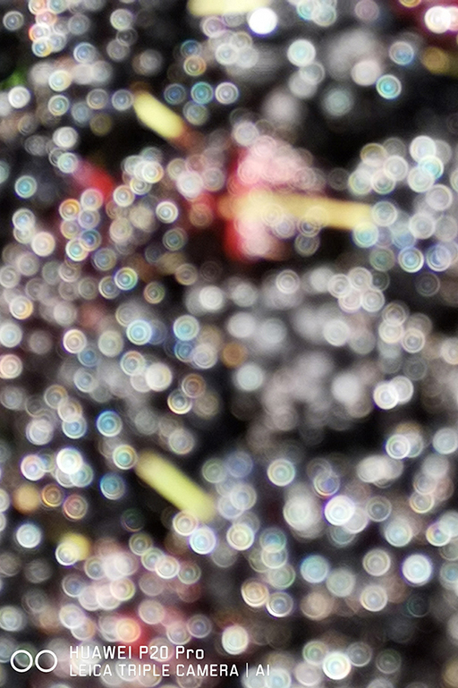 t_IMG_20180526_225656