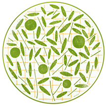 043107P_greendessertplate_front-A5-F39