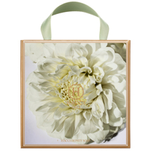 はちみつ洗顔石けん10周年限定シャンパーニュブラン