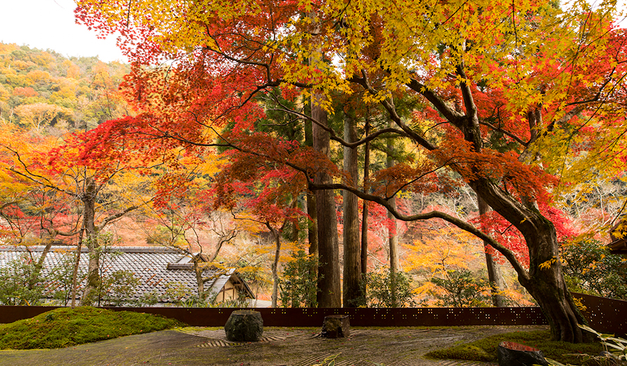 6_HOSHINOYA-Kyoto_OPENERS