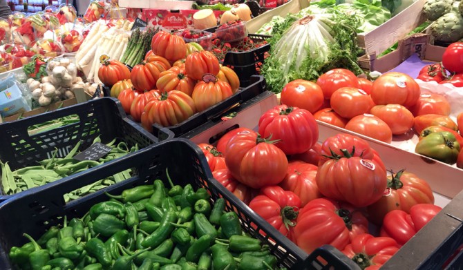 17_no-texika_openers