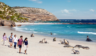 Seal Bay Conservation Park, Kangaroo Island, SA
