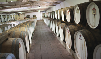 Seppeltsfield Wines, SA