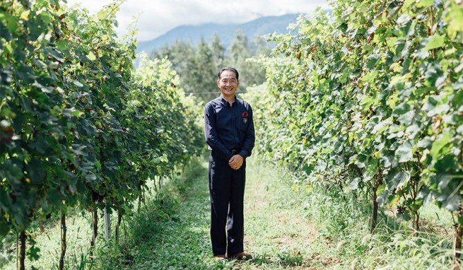 03_Hoshino-Resorts_openers