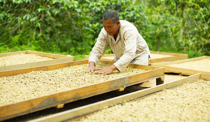 ネスプレッソ マスターオリジン