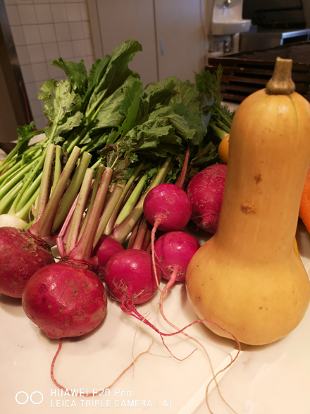 写真は感性で撮る時代へ | HUAWEI P20 Pro 10