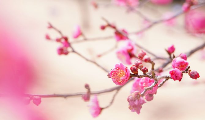 星野リゾート 界 熱海