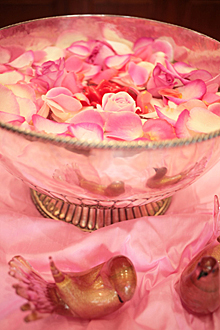 サンタ・マリア・ノヴェッラと美しく生きる（1）