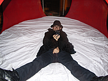 島津由行×オウプナーズ