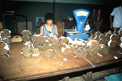 タバコの作成工程