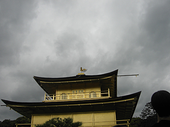 ALDENとの出会いとその魅力を語る(3)